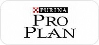��� ���� - PRO PLAN