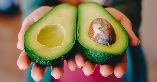 פרי האבוקדו פרי האבוקדו