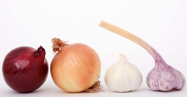 מספר סוגים של שום ובצל מספר סוגים של שום ובצל