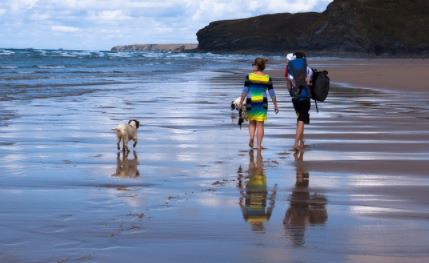 כלב מטייל בים כלב מטייל בים
