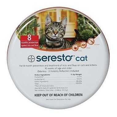 סרסטו לחתול סרסטו לחתול