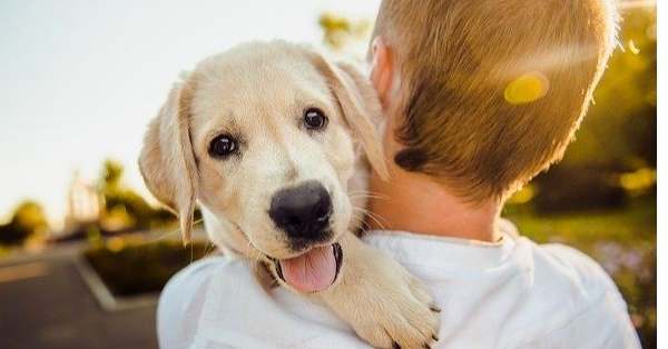ילד מרים כלב לקקן ילד מרים כלב לקקן