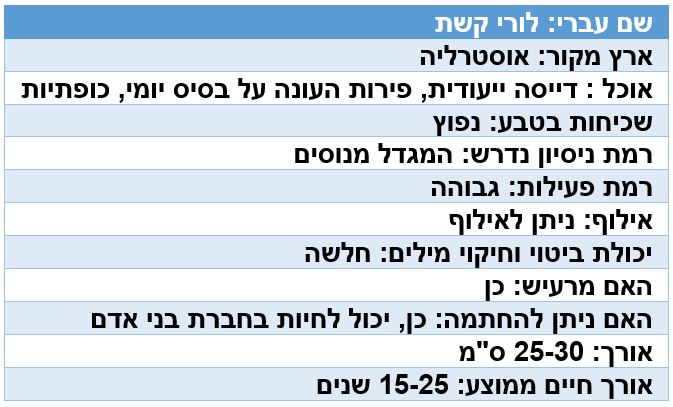 נתונים על לורי קשת נתונים על לורי קשת