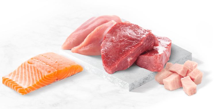 רכיבי אלמו נייצ'ר רכיבי אלמו נייצ'ר