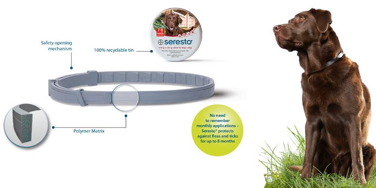 ����� ��� 8 �