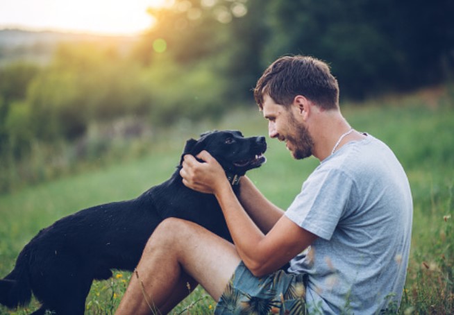 איך ללטף כלב?