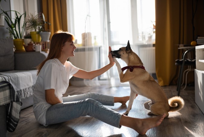 ���� ����� ��� �����