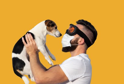 הכלב מסריח! איך לגרום לו להריח טוב?