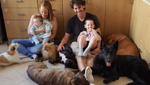 צוות הפי דוג בפעולה צוות הפי דוג בפעולה