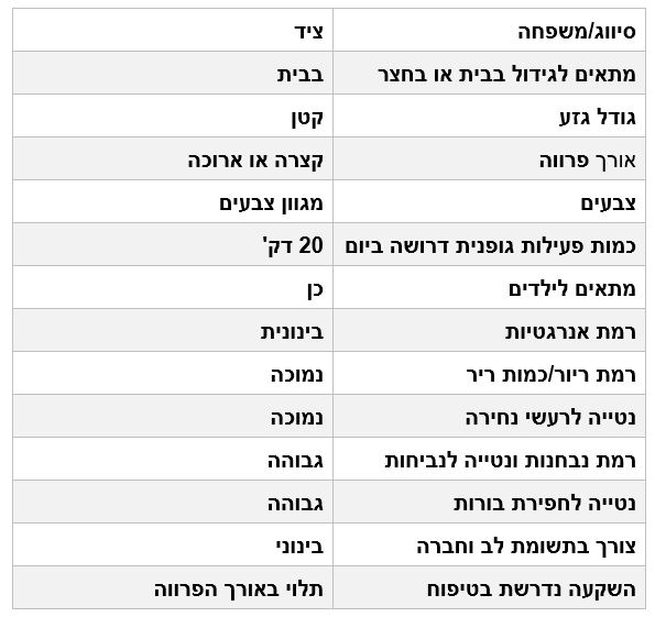 מאפייני כלב דקל תחש מאפייני כלב דקל תחש